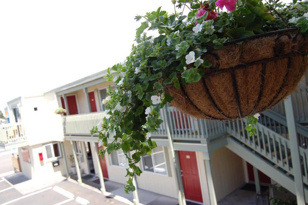 Sandy Cove Inn Seaside Eksteriør billede